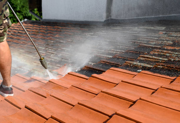 Best Local Pressure Washing Services  in Hudson, NC